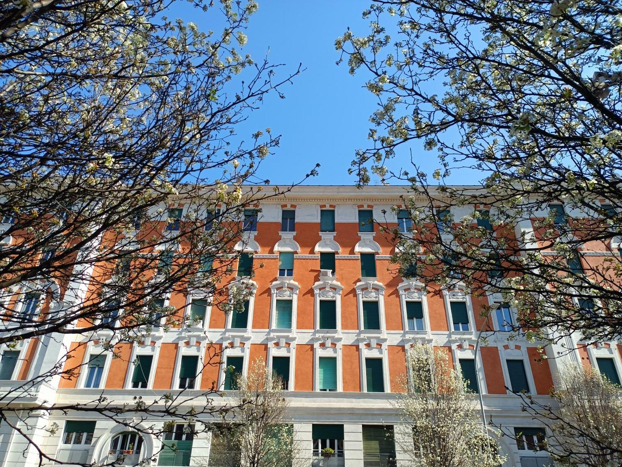 Eluta Apartment