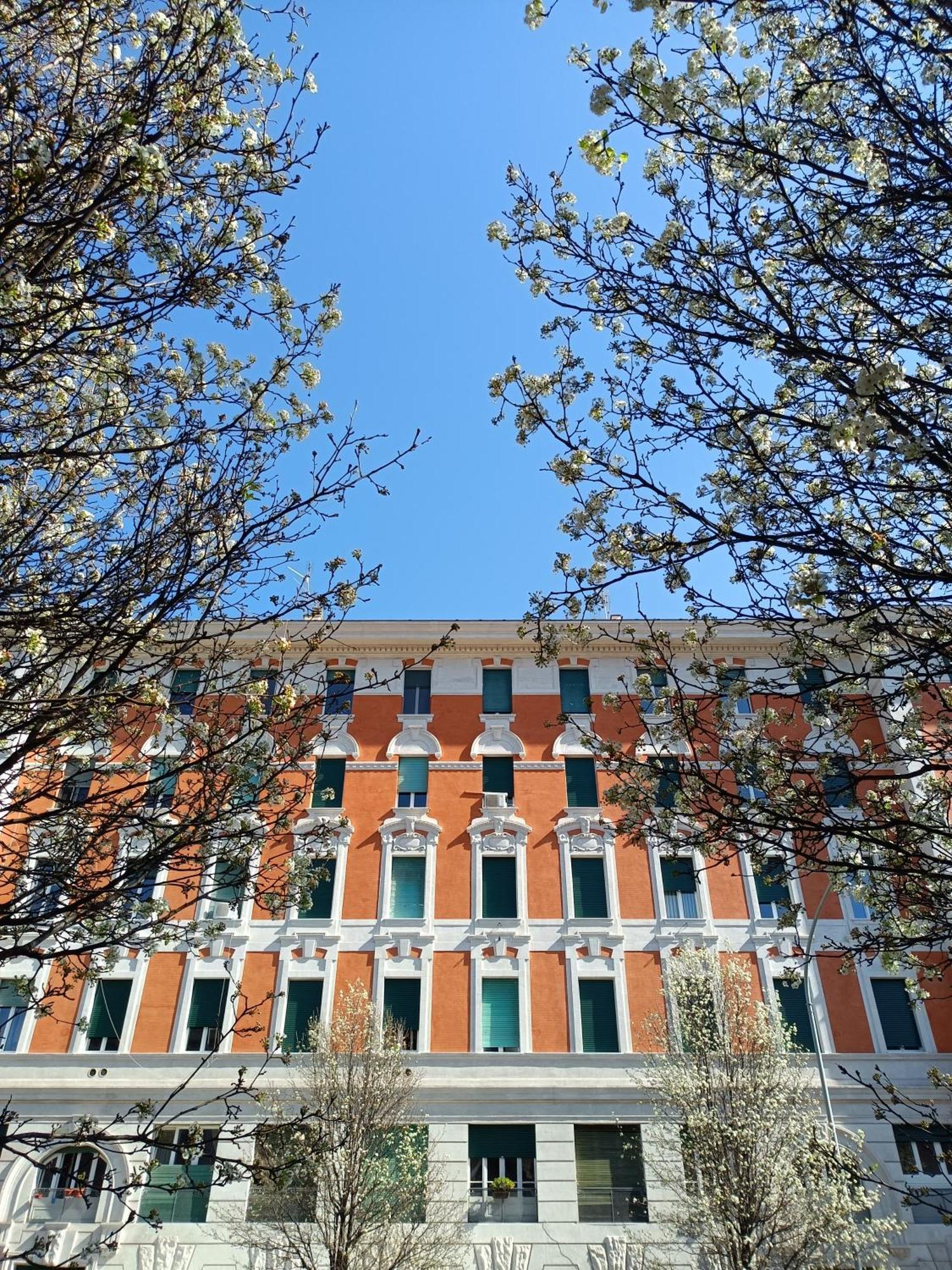 Eluta Apartment Rom